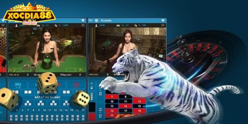 Hạn chế đặt cửa Hòa
